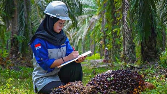 Trik Koperasi Kakao, Kelapa dan Kelapa Sawit Mengelola Dana Rp. 30 Milyar