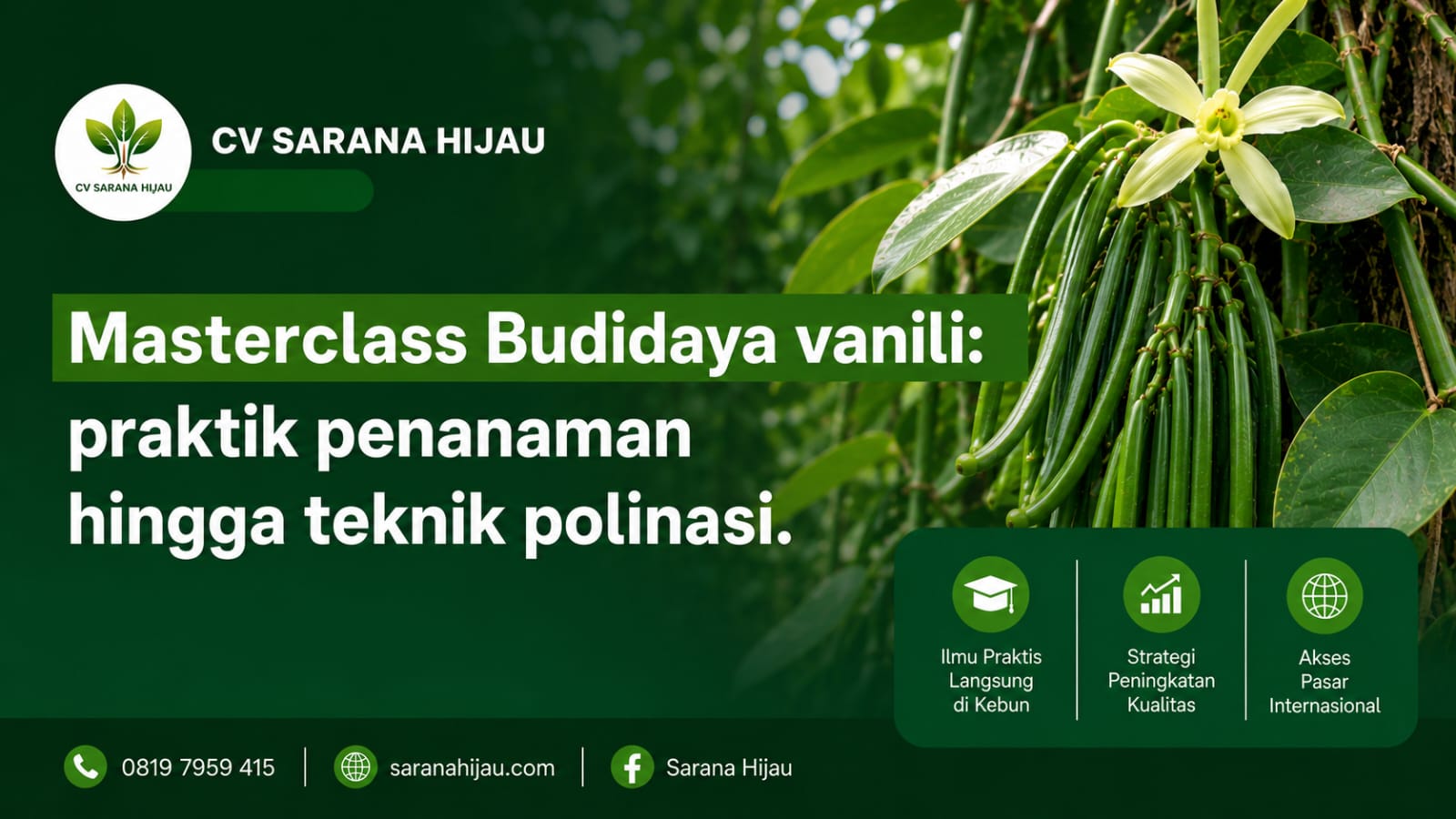 Masterclass Budidaya Vanili: Praktik Penanaman Hingga Teknik Polinasi
