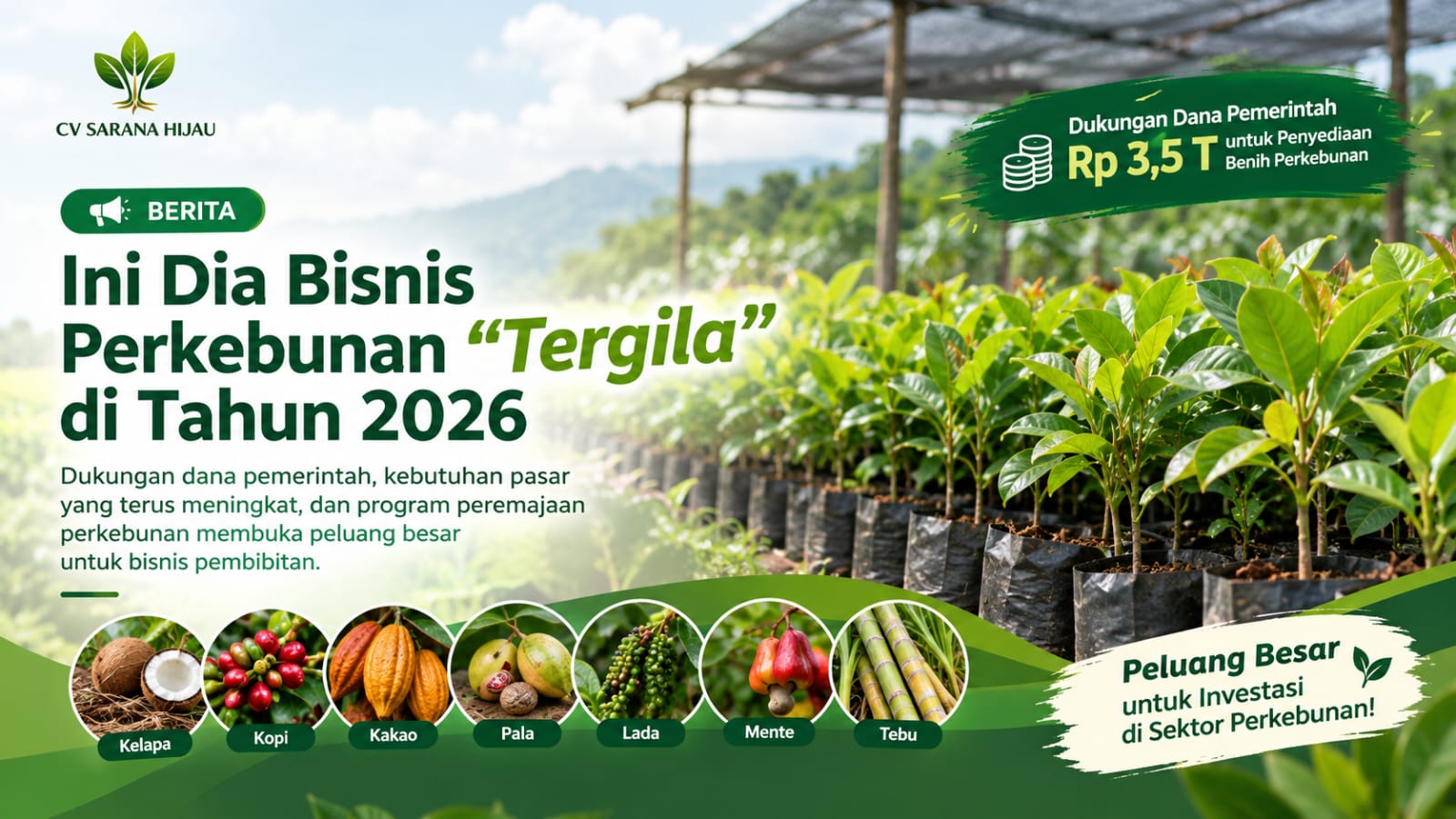 Peluang Bisnis Pembibitan Perkebunan di Tahun 2026